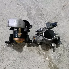 Padushka ve zaslonka