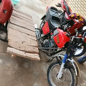 Fekon FK200-14G 2022