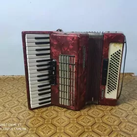 Akkordeon.Akkardeon akardeon