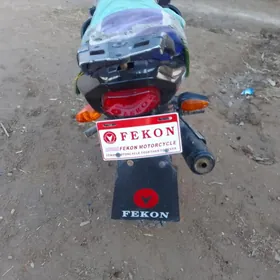 Fekon FK150-8G 2010