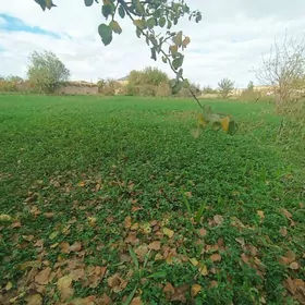 Satlyk mellek 16 sotok