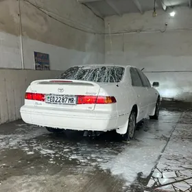 Toyota Camry 2001