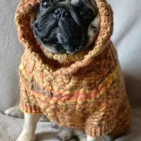 Вязаные изделия для питомцев️