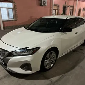 Nissan Maxima 2019