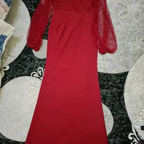 vicerni gatovy koynek