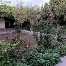 Саглык дача 6 соток