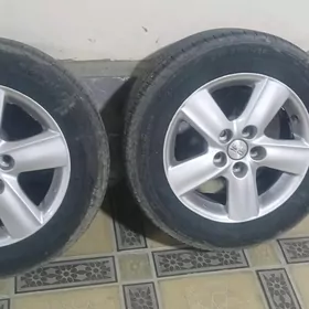 16lyk diska pakryska