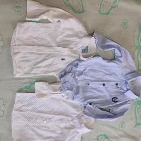 1 ýaşa yarym arassa ja gawy