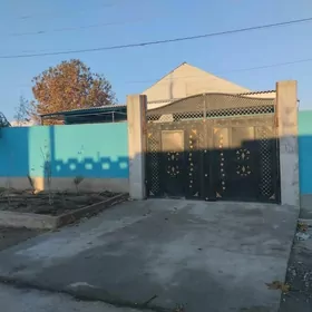 багир миреве от хозяина