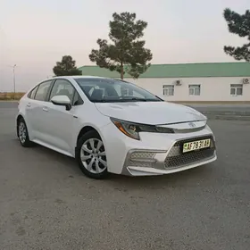 Toyota Corolla 2022