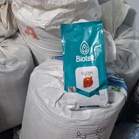 sogan tohum paket we 1arka