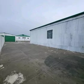 satlyk jaÿ elitga 30.ÿyllyk