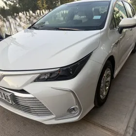 Toyota Corolla 2023
