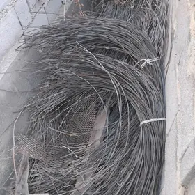 Sim nežuwaýuṣiý