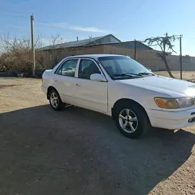 Toyota Corolla 1995