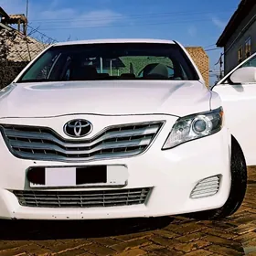 Toyota Camry 2010
