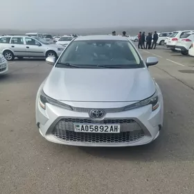 Toyota Corolla 2020