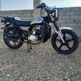 Fekon FK200-14G 2022