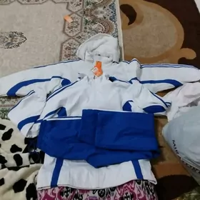 talyp kurtga sportifka