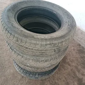 Gazel balon teker балон