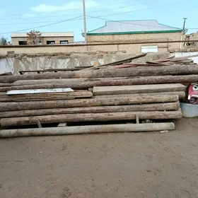 toalak agaç strapila çerebnoy