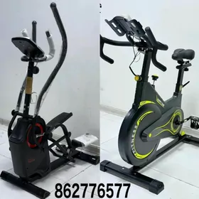 TIGIR MASYN MATOR HADINOK STOL