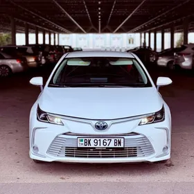 Toyota Corolla 2021