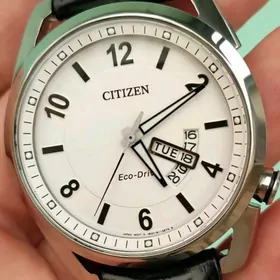 Sagat Часы Citizen.