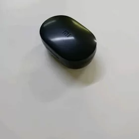 MI BEZPRAWADNOY NAUSNIK