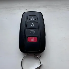 Highlander pult morda