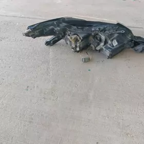 Fara 2019 kemry haliji