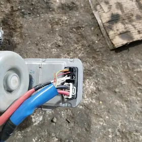 Cemry Riliwoy 21y 22y