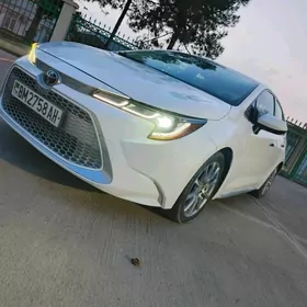 Toyota Corolla 2020