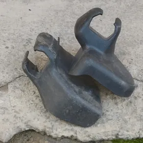 Corollañ sidenniñ asagyna