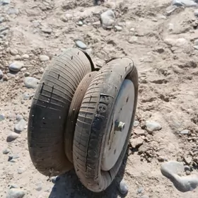 Paduska mossy galdyryan