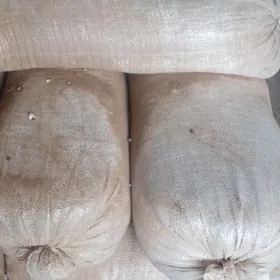 шрот мал еми