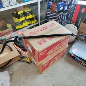 VBlom. murt. steblzator.