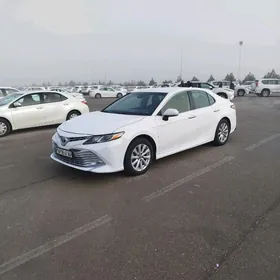 Toyota Camry 2019