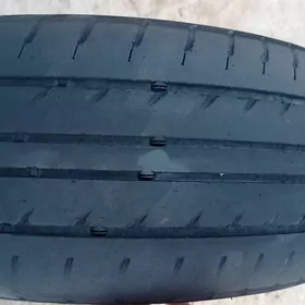 carolla diska argina