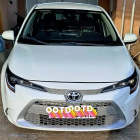 Toyota Corolla 2020