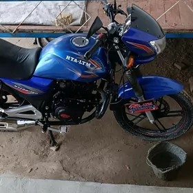 Fekon FK200-14G 2025