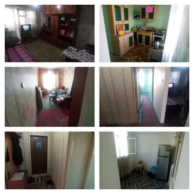 Mary-Şäher-Satlyk-Jay-3-mk