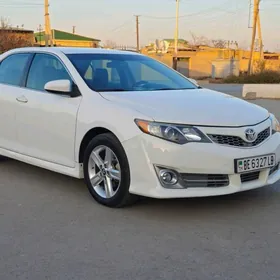 Toyota Camry 2013