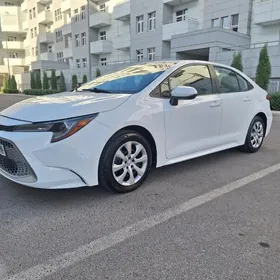 Toyota Corolla 2023