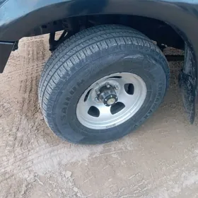 80lik disga pokyrysga