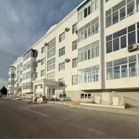 anew satlyk polu padwal