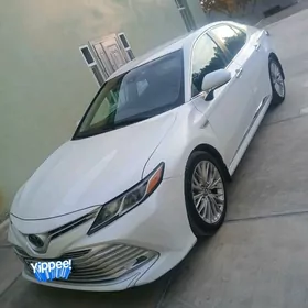 Toyota Camry 2020