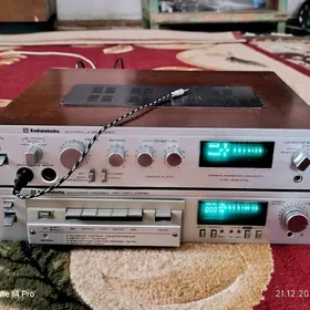 Radiotehnika  У-101