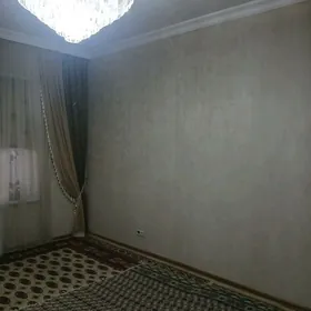 SATLYK JAY GURTLY 2 KOM