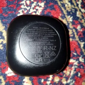 bulutuz nauşnik daşy tapyldy